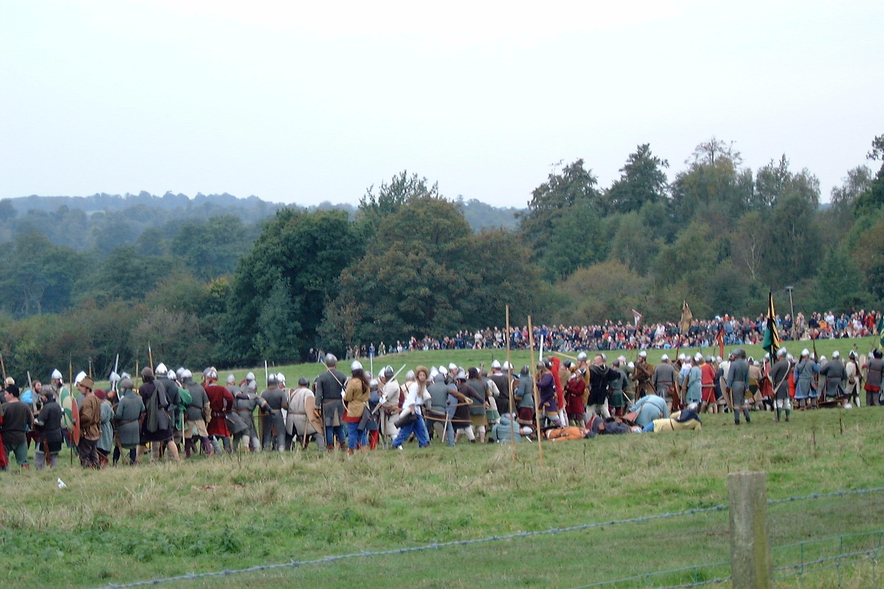 HASTINGS SAXON RIGHT AND AUDIENCE.jpg