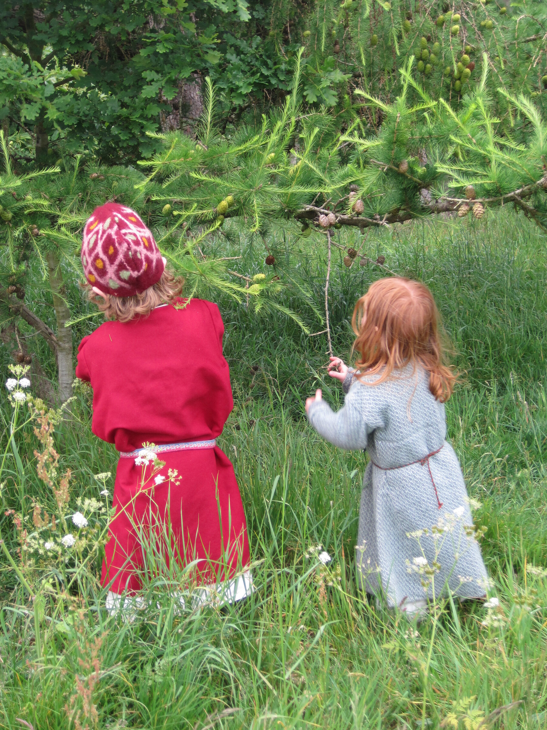 forest aoibhin a pine cones.JPG