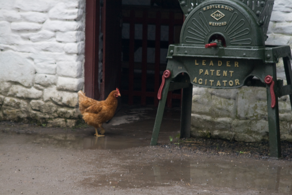 photographybyduncanholmes_2626769175_Bunratty-12.jpg