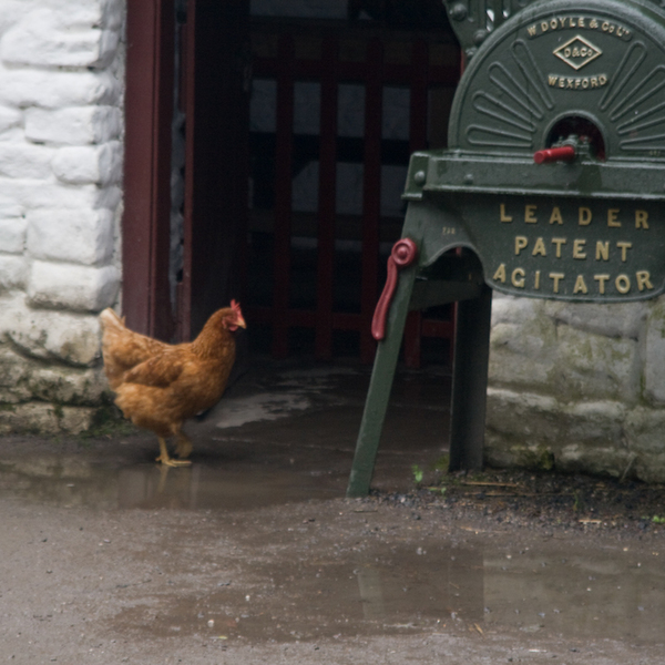 photographybyduncanholmes_2626769175_Bunratty-12.jpg